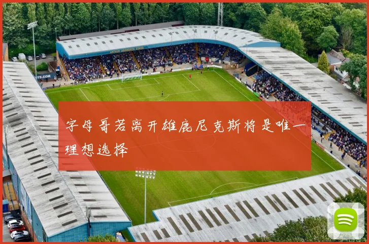 字母哥若离开雄鹿尼克斯将是唯一理想选择