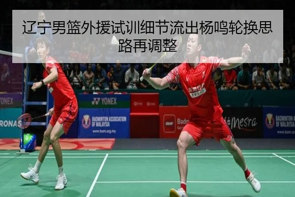 辽宁男篮外援试训细节流出杨鸣轮换思路再调整 | oetysports